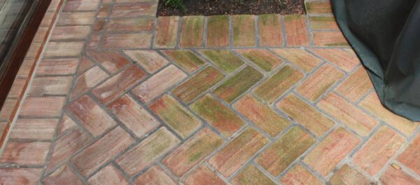 Verdín y moho en suelos de barro