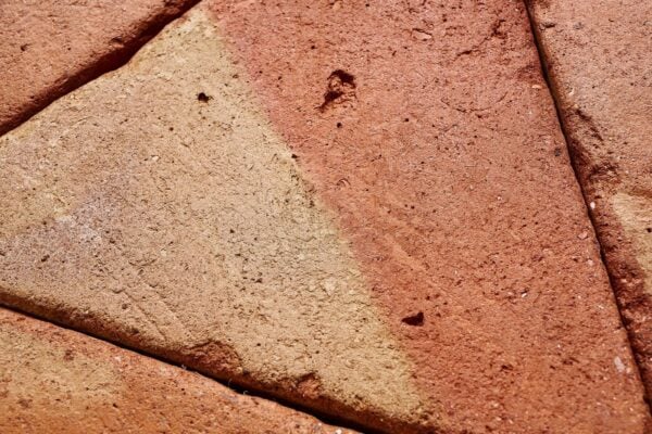 Tonalidades Paja y Salmón