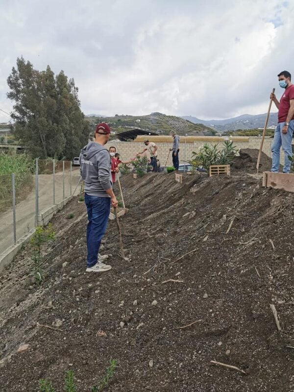 Fotografía del talud sobre el que se van a plantar las especies seleccionadas para hacer nuestra empresa sostenible