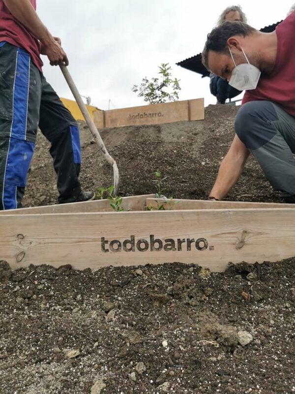Fotografía de la isla de biodiversidad alboránica de nuestro tejar en construcción