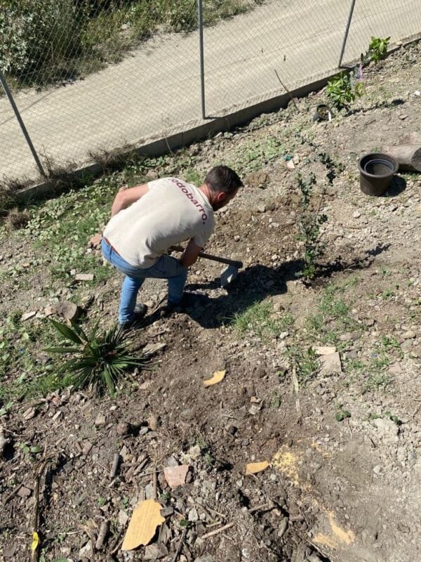 Un miembro del equipo trabaja en el talud de nuestra empresa sostenible plantando especies autóctonas