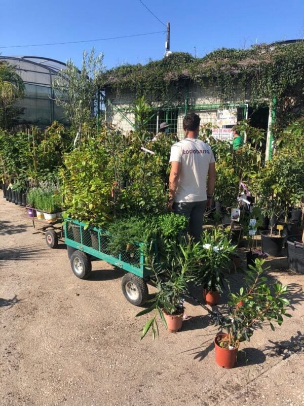 Un miembro de la empresa sostenible todobarro trabaja en la construcción de la isla de biodiversidad alboránica