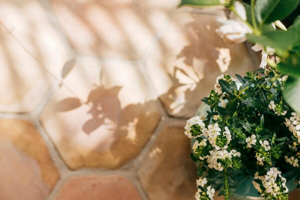 Acabado rústico con baldosa Hexágono