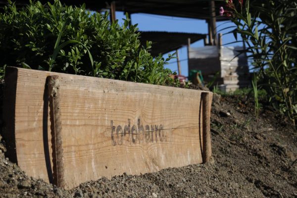 Foto de una de las cajas de madera retornables que usamos para el transporte sostenible de material